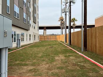 Grassy courtyard area with wood privacy fence